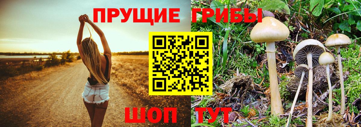 Галлюциногенные грибы Magic Shrooms Рыбинск