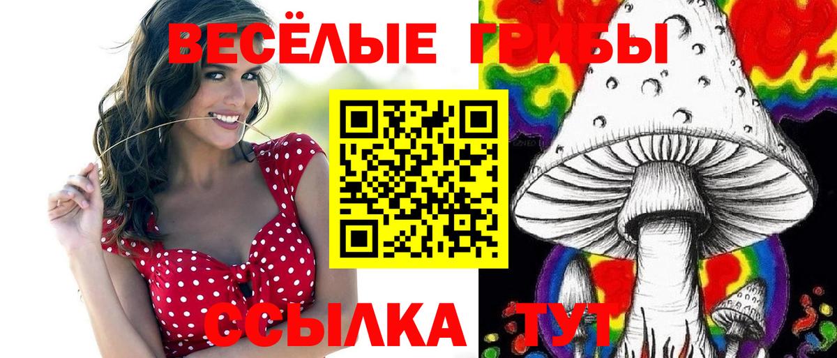 Галлюциногенные грибы прущие грибы  Галлюциногенные грибы Psilocybine cubensis  Рыбинск  Вход с VPN 